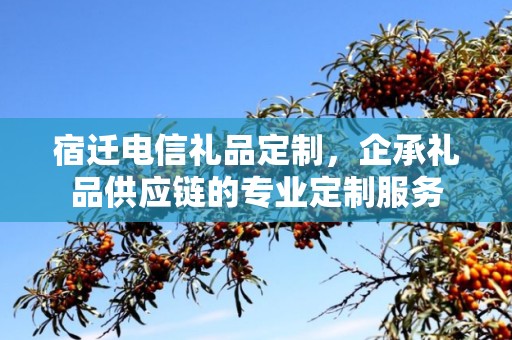 宿迁电信礼品定制，企承礼品供应链的专业定制服务