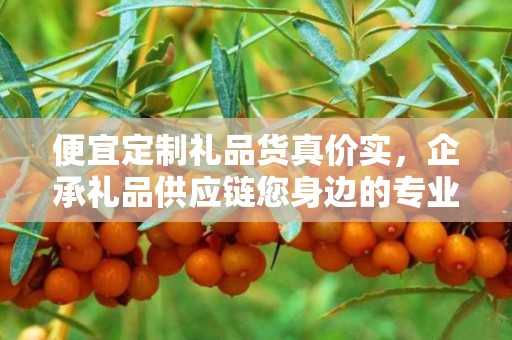 便宜定制礼品货真价实，企承礼品供应链您身边的专业礼品定制公司