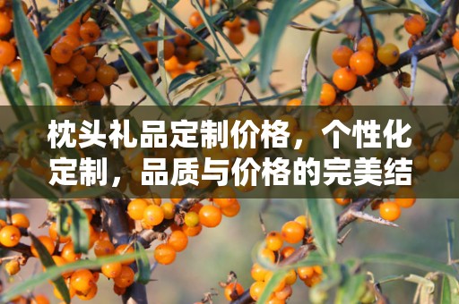 枕头礼品定制价格，个性化定制，品质与价格的完美结合