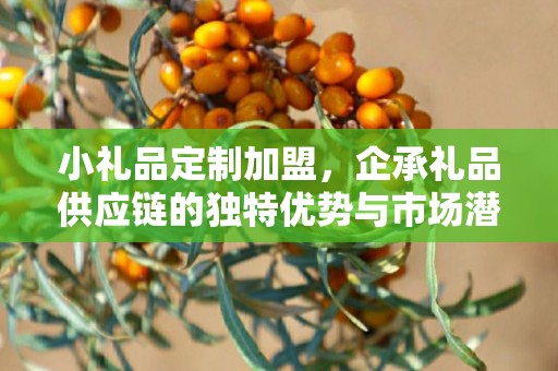 小礼品定制加盟，企承礼品供应链的独特优势与市场潜力