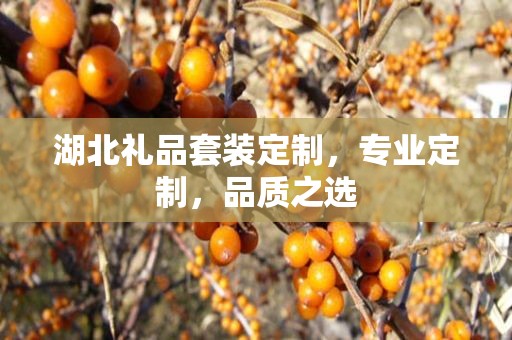 湖北礼品套装定制，专业定制，品质之选
