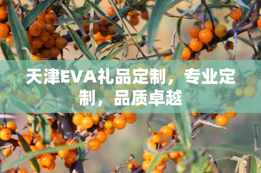 天津EVA礼品定制，专业定制，品质卓越